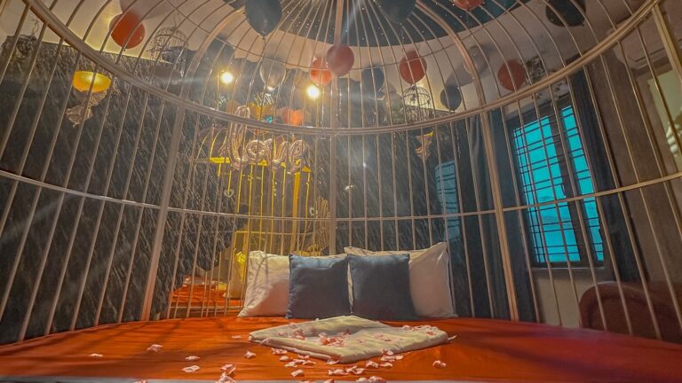 Cozi 9 Hải Phòng- Phòng Lồng Chim (Bird Cage)