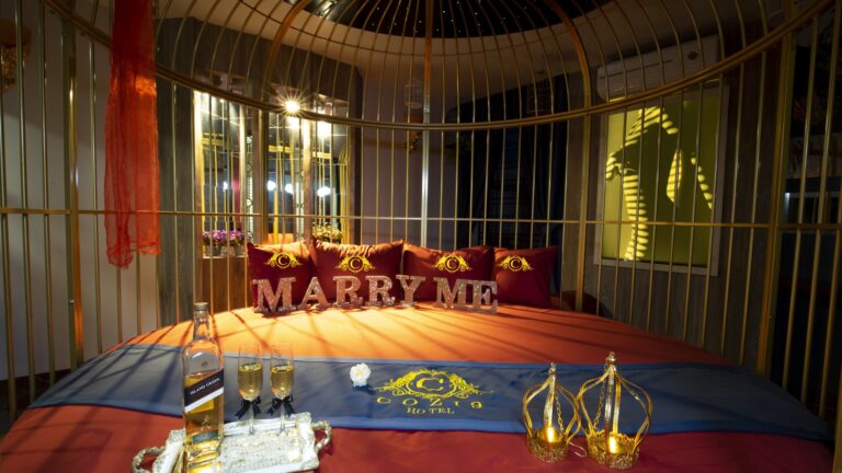 Cozi 9 Hải Phòng- Phòng Lồng Chim (Bird Cage)