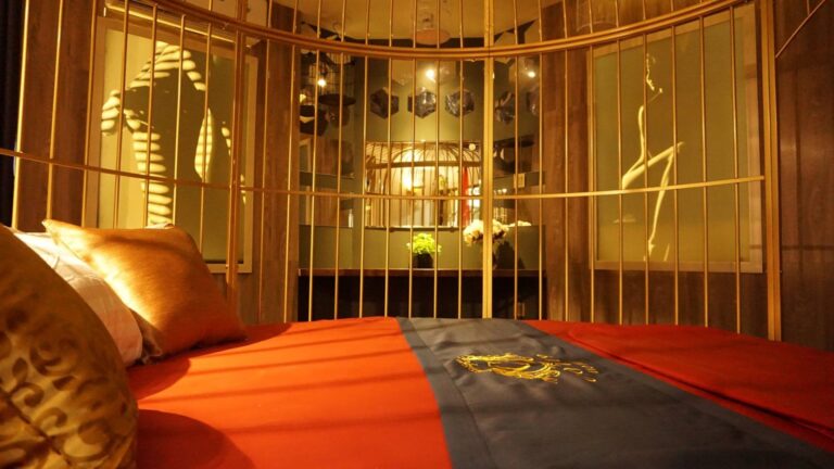 Cozi 9 Hải Phòng- Phòng Lồng Chim (Bird Cage)