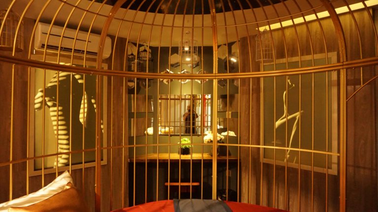 Cozi 9 Hải Phòng- Phòng Lồng Chim (Bird Cage)