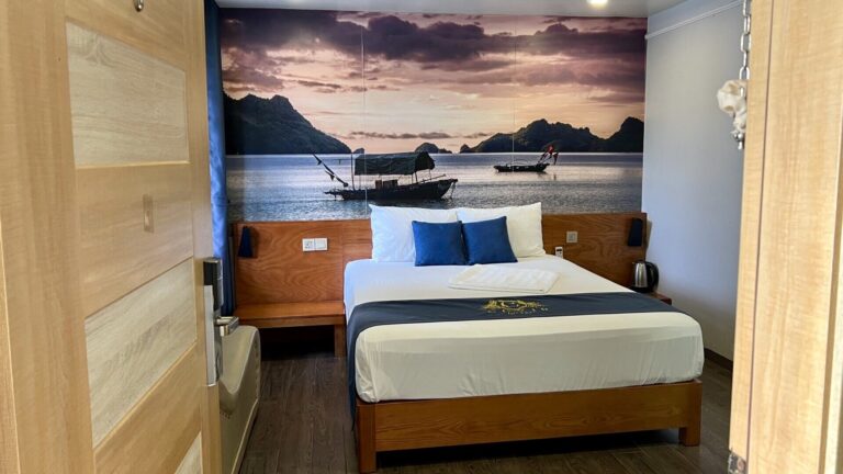 Cozi 9 Hải Phòng- Phòng VIP 1 giường cửa sổ lớn (VIP Double Room)