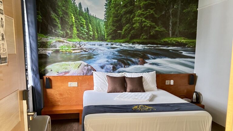 Cozi 9 Hải Phòng- Phòng VIP 1 giường cửa sổ lớn (VIP Double Room)