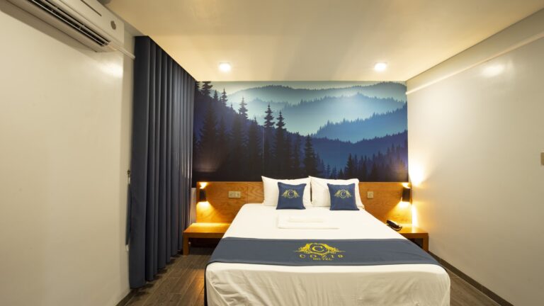 Cozi 9 Hải Phòng- Phòng VIP 1 giường cửa sổ lớn (VIP Double Room)