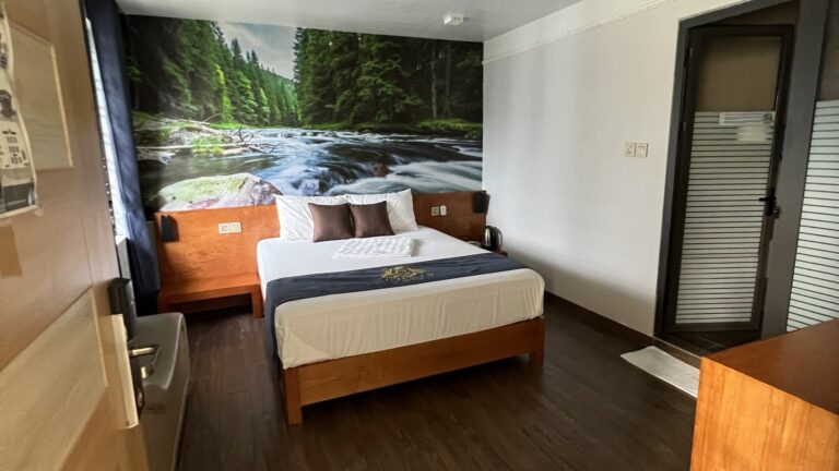 Cozi 9 Hải Phòng- Phòng VIP 1 giường cửa sổ lớn (VIP Double Room)